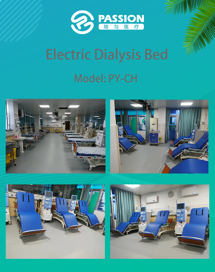 Electric Dialysis Bed