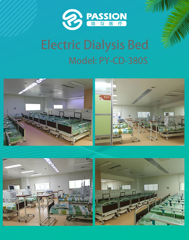 Electric Dialysis Bed